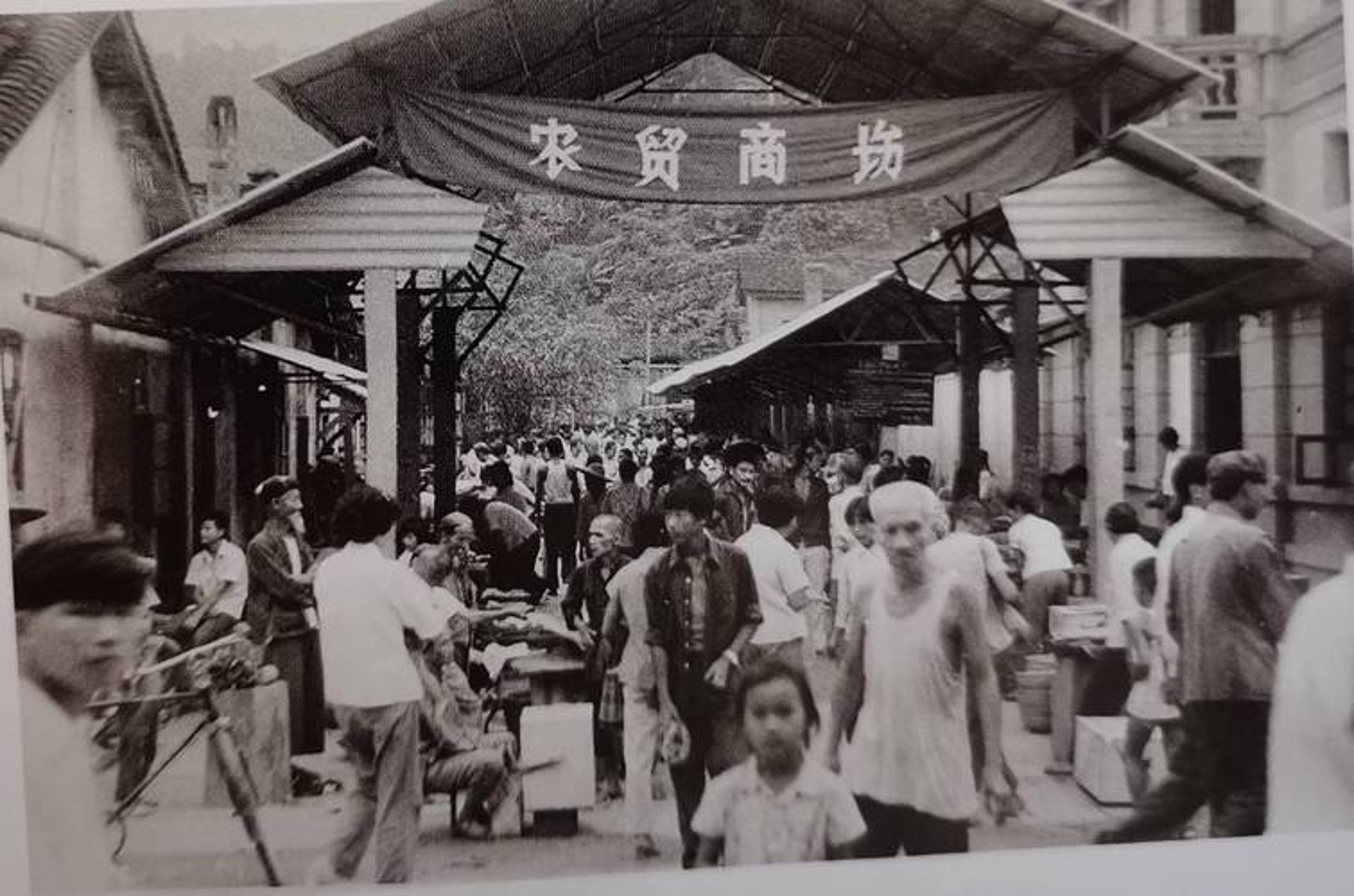 卧单进出口